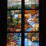 Strasbourg Cathedral Stained Glass Nature