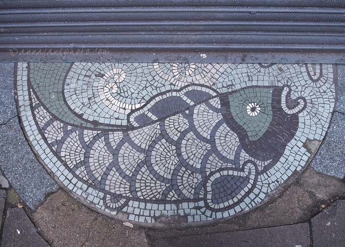 20230905-fish-mosaic.jpg