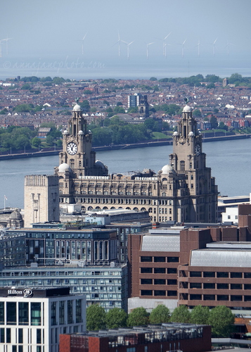 20250511-liver-building.jpg