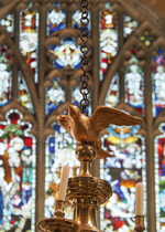 Bird Chandelier