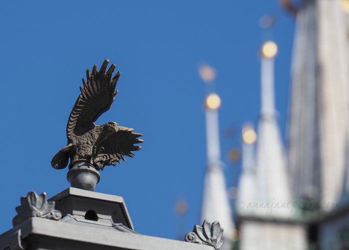 20260228-lamppost-eagle.jpg