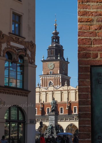 20260228-town-hall-tower.jpg